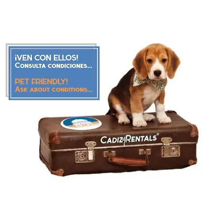 Puerta San Felix Free Parking By Cadiz4rentals